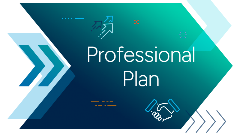 Professional Plan